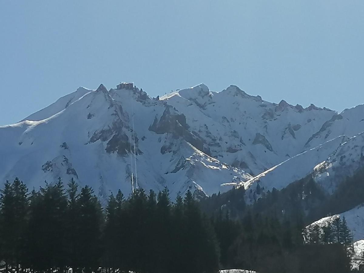 Coquelicot, Entre Volcans D Auvergne Et Sancy, Orcival. Exteriör bild
